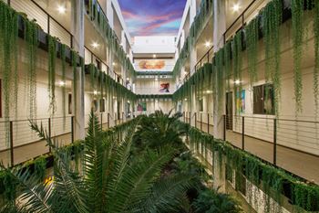 Courtyard with lush landscaping